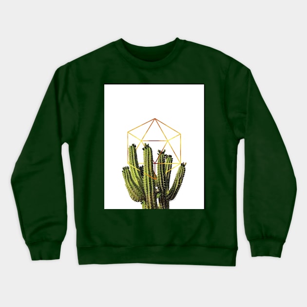 Cactohedron Crewneck Sweatshirt by StudioGrafiikka